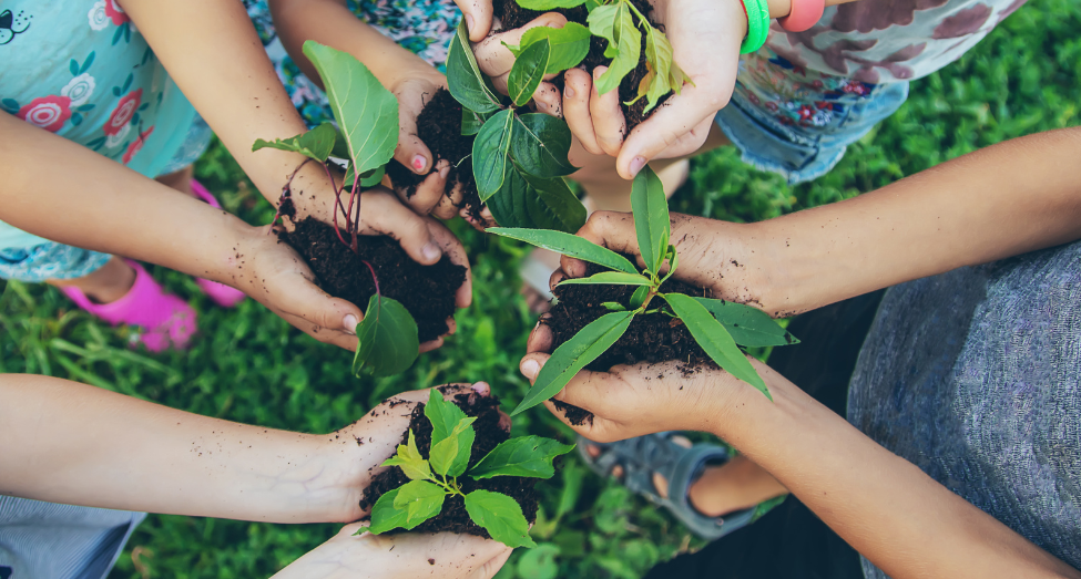 take-action-toxic-free-future